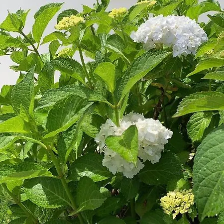 Enjoy Your - - 3* Olbia