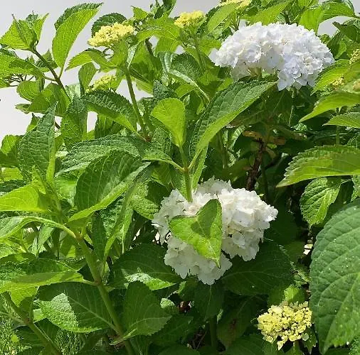 Enjoy Your - - 3* Olbia